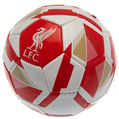Liverpool FC Skill Ball RX