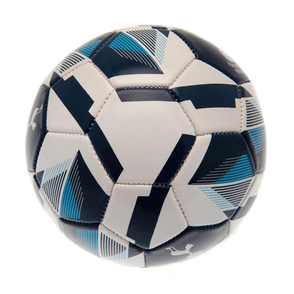 Tottenham Hotspur FC Skill Ball RX