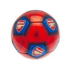 Arsenal FC Skill Ball Signature