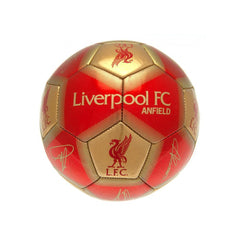 Liverpool FC Skill Ball Signature
